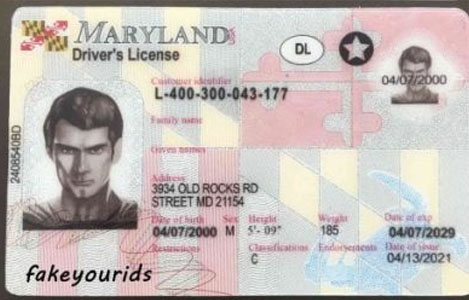 Maryland Fake ID & DL