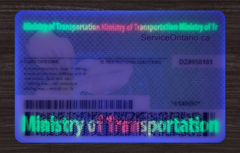 2025 Version Ontario Fake ID