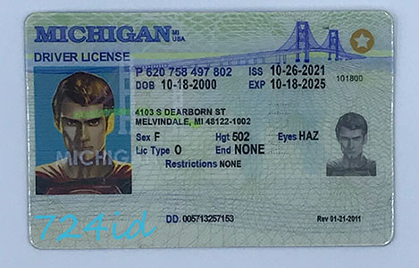 Michigan ID