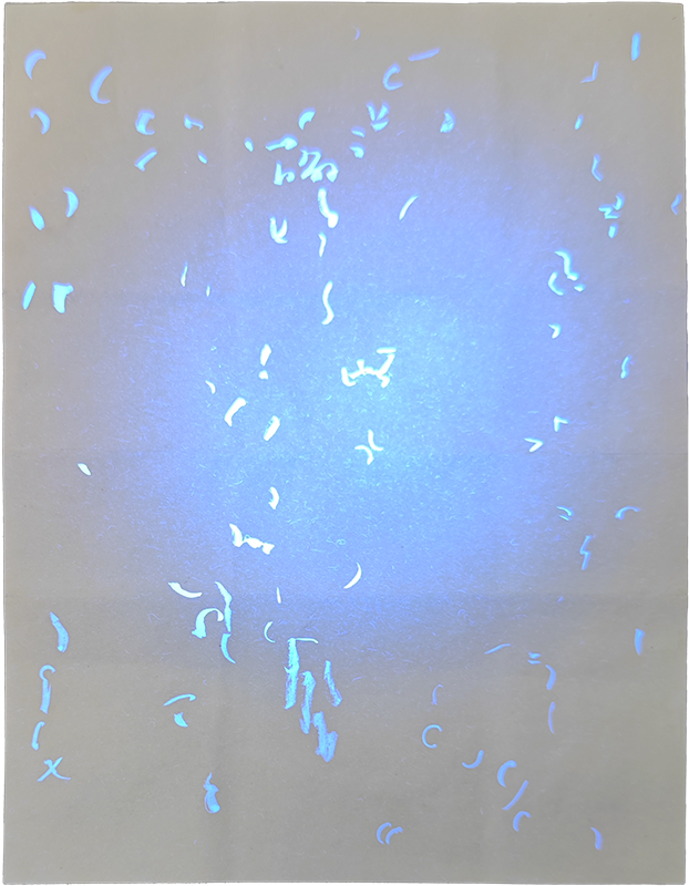 Fake Iowa Birth Certificate