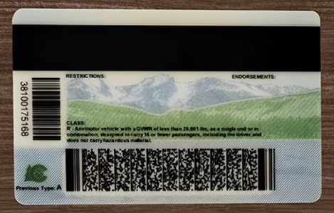 Fake Colorado ID