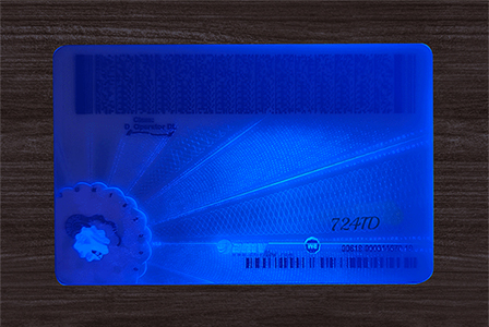 Virginia ID(2025 Version)