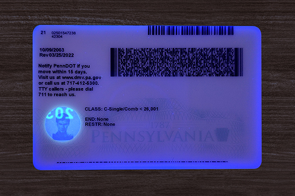 2025 Version Pennsylvania ID