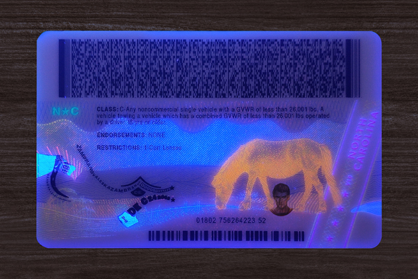 2025 Version North Carolina ID
