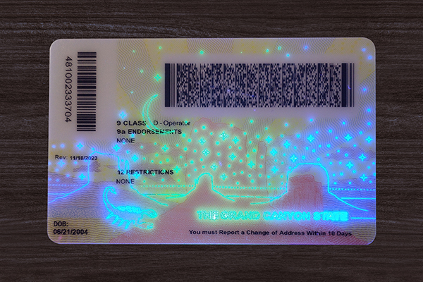 2025 Version Arizona ID