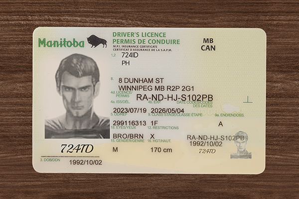 Manitoba ID (2026 Version)