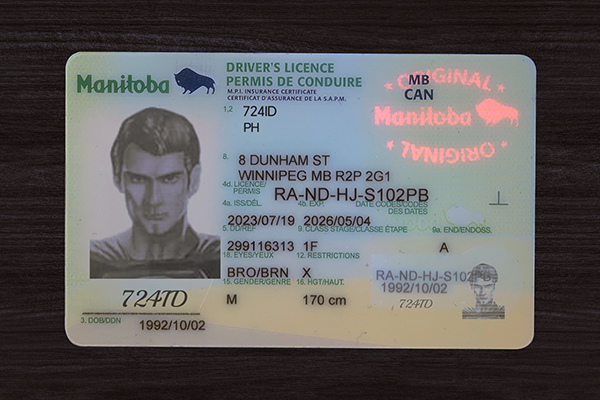 Manitoba ID (2026 Version)